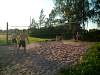 dscf0069.jpg