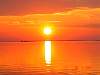 dsc05425.jpg