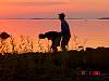 dsc05427.jpg